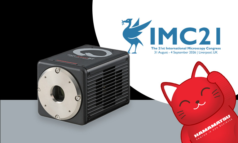 21st International Microscopy Congress (IMC21)